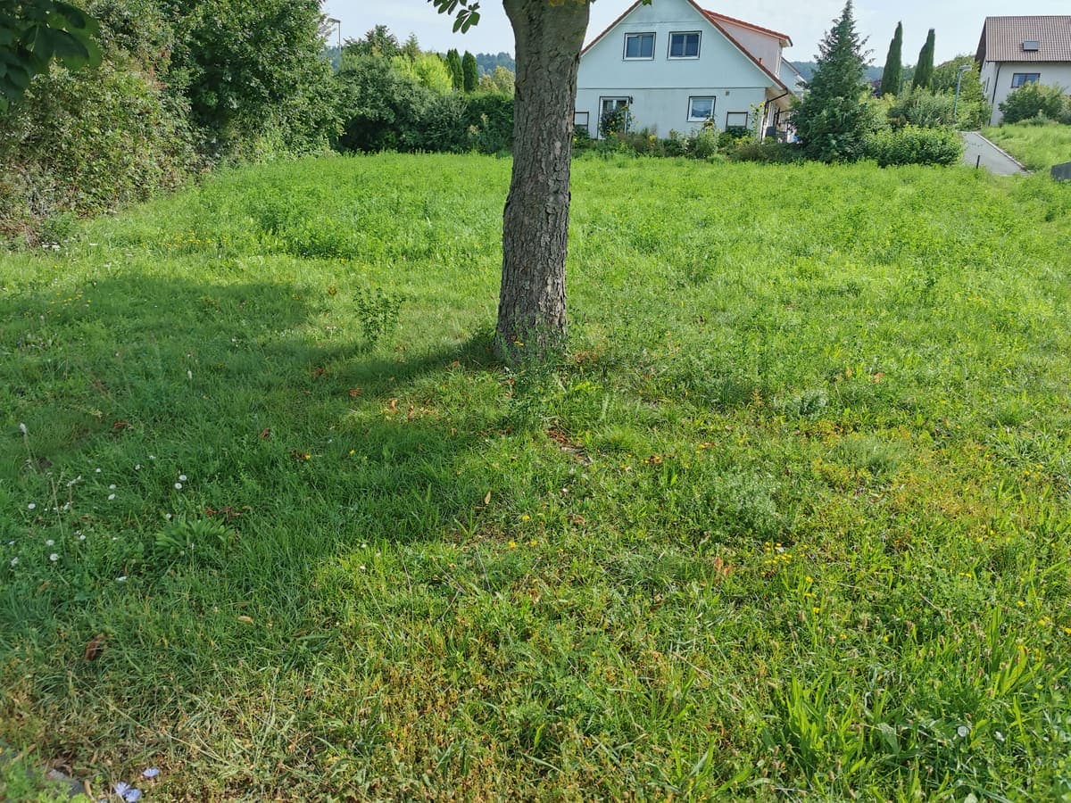 Gediz Yeni Mahallesi'nde Arsa | 1120 m² — Yatırıma uygun, hisseli değil 3