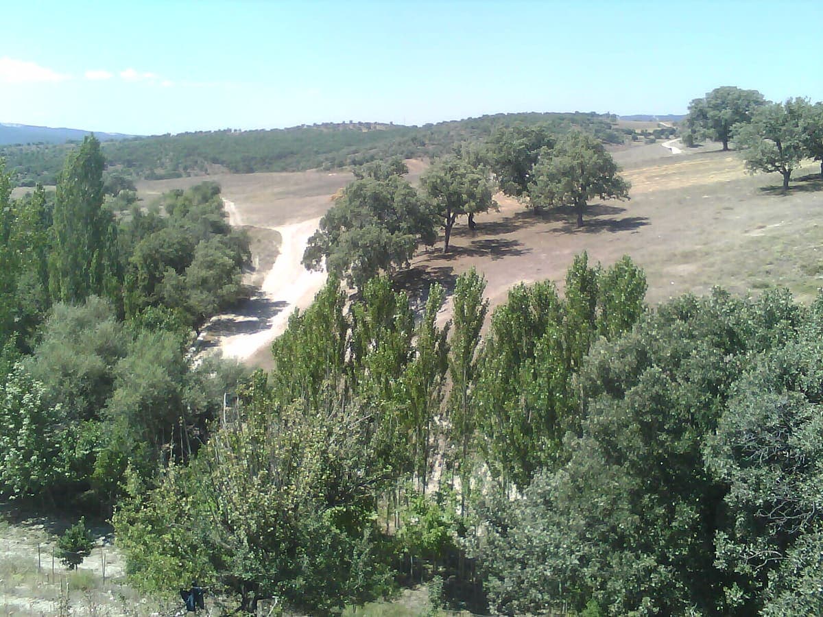 Merkez Siner Mahallesi'nde Arsa | 7965 m² — Köşe parsel, çift cepheli