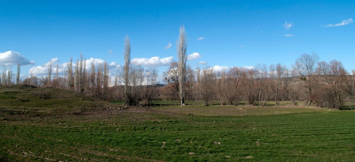 Emet Yeni Mahallesi'nde Arsa | 1708 m² — Elektrik ve su hattı mevcut