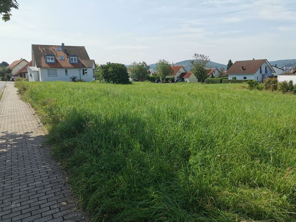 Merkez Siner Mahallesi'nde Arsa | 7299 m² — İmarlı, yola cepheli 4