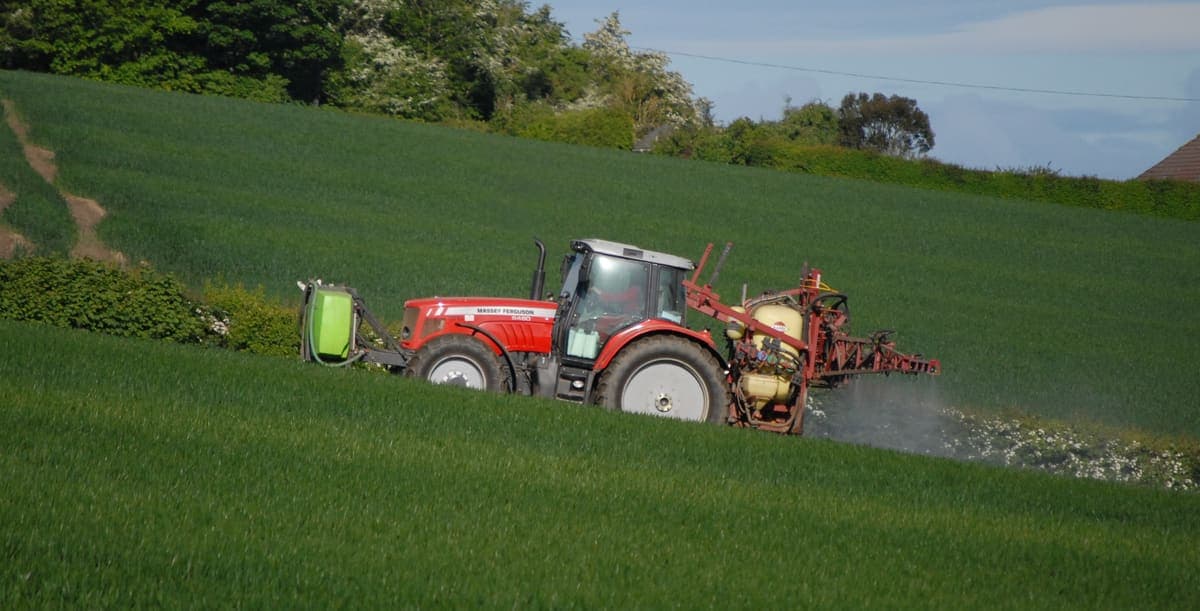 2010 Massey Ferguson 6480 — Zamanı gelen bakımları yapıldı 4
